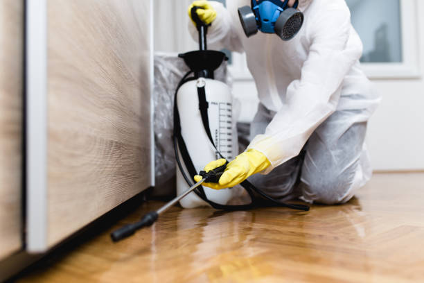 Best Pest Prevention Services  in Stonecrest, GA