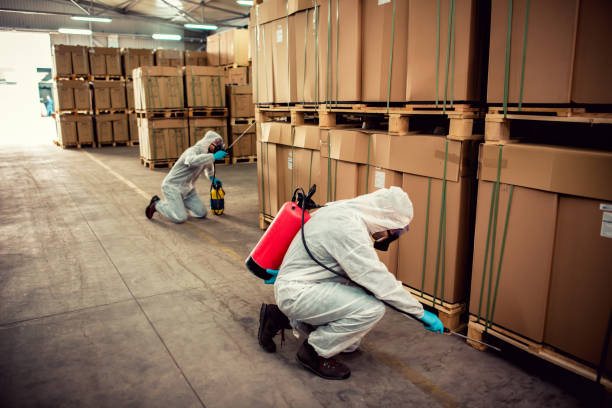 Best Affordable Pest Control Services  in Stonecrest, GA