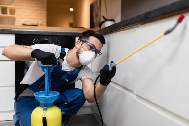 Best Pest Removal Services  in Stonecrest, GA