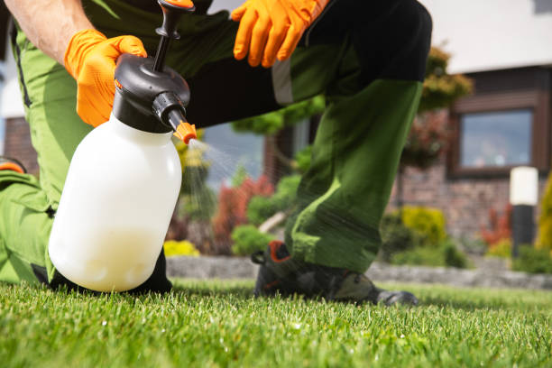 Best Commercial Pest Control Services  in Stonecrest, GA