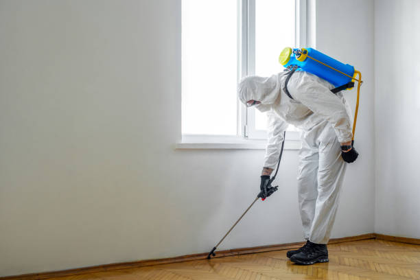 Best Residential Pest Control  in Stonecrest, GA