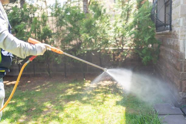 Best Insect Control  in Stonecrest, GA