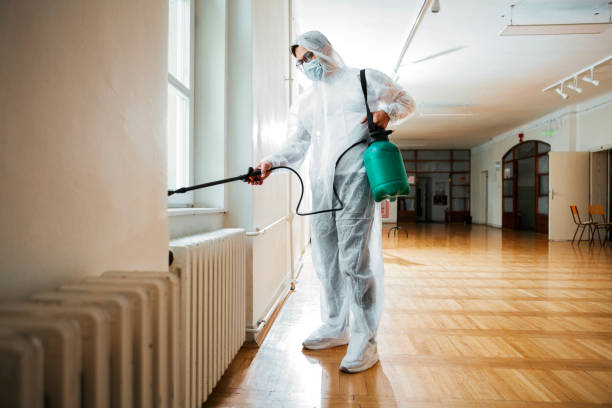 Best Pest Prevention Services  in Stonecrest, GA