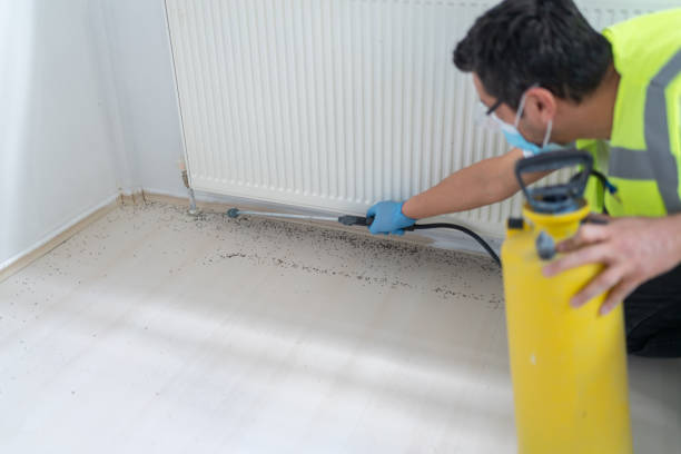 Best Exterminator Services  in Stonecrest, GA