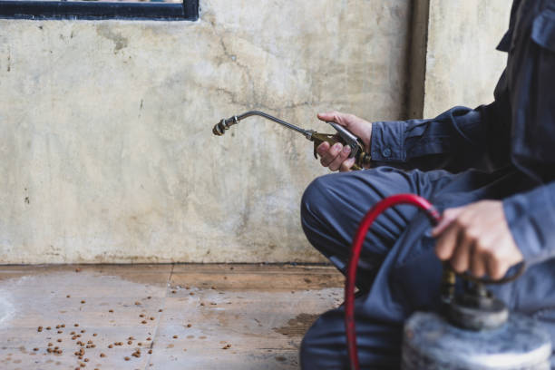 Best Mosquito Control Services  in Stonecrest, GA